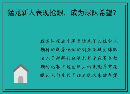 猛龙新人表现抢眼，成为球队希望？